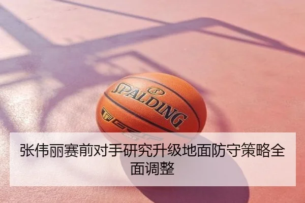 张伟丽赛前对手研究升级地面防守策略全面调整