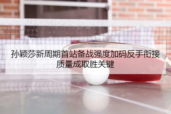 孙颖莎新周期首站备战强度加码反手衔接质量成取胜关键