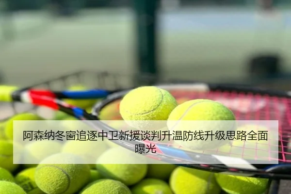 阿森纳冬窗追逐中卫新援谈判升温防线升级思路全面曝光